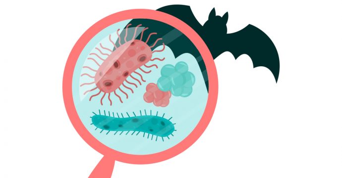 US State Dep’t Warned Others of Wuhan Bat-Virus Laboratory Two Years Ago true