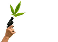 Judge Rules Gun Ban for Marijuana Users in Unconstitutional